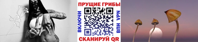 Псилоцибиновые грибы прущие грибы  где найти наркотики  Пыть-Ях 